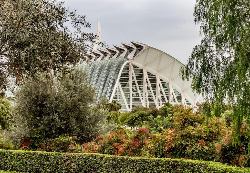 Travel Habitat Torre Francia Leilighet Valencia Eksteriør bilde